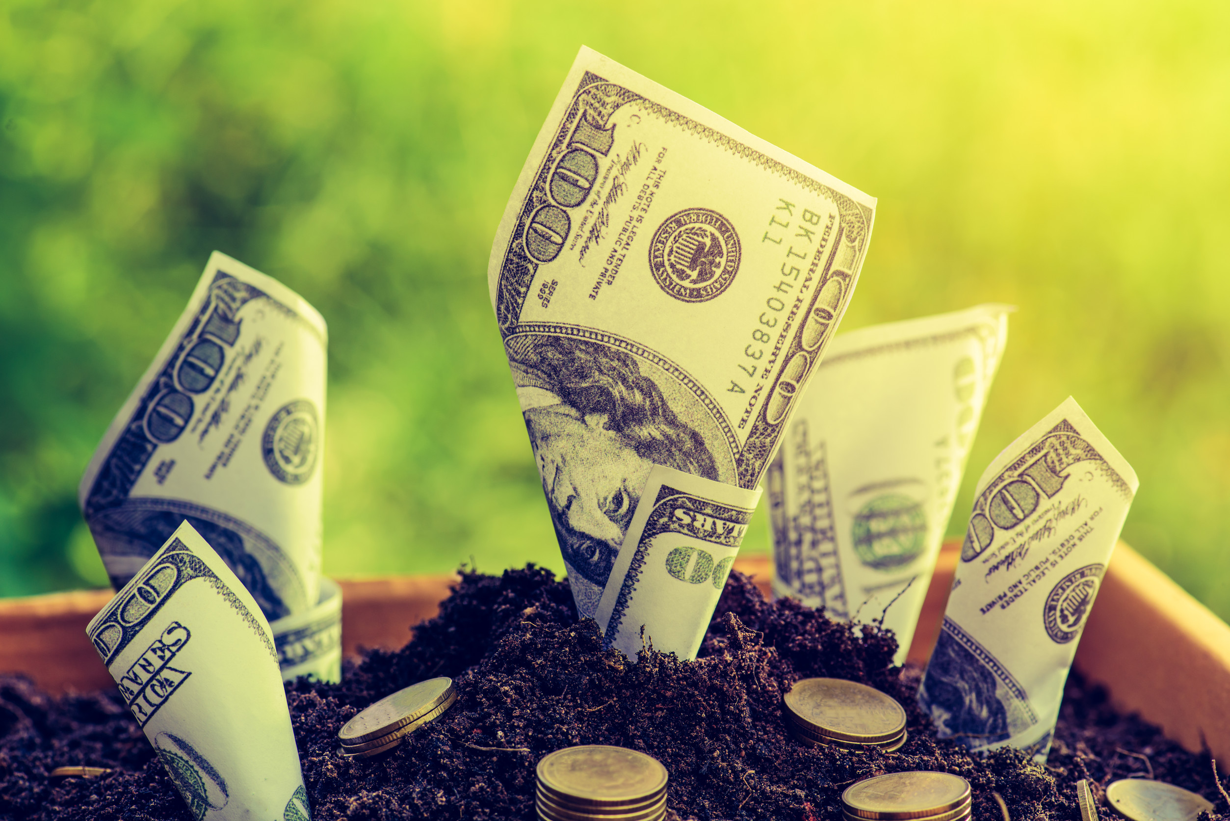 Us dollars and gold coin grow from the ground Box ; investment c
